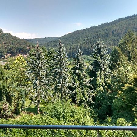 Hotel Zum Neckartal Heidelberg Kültér fotó