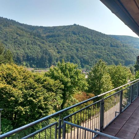 Hotel Zum Neckartal Heidelberg Kültér fotó