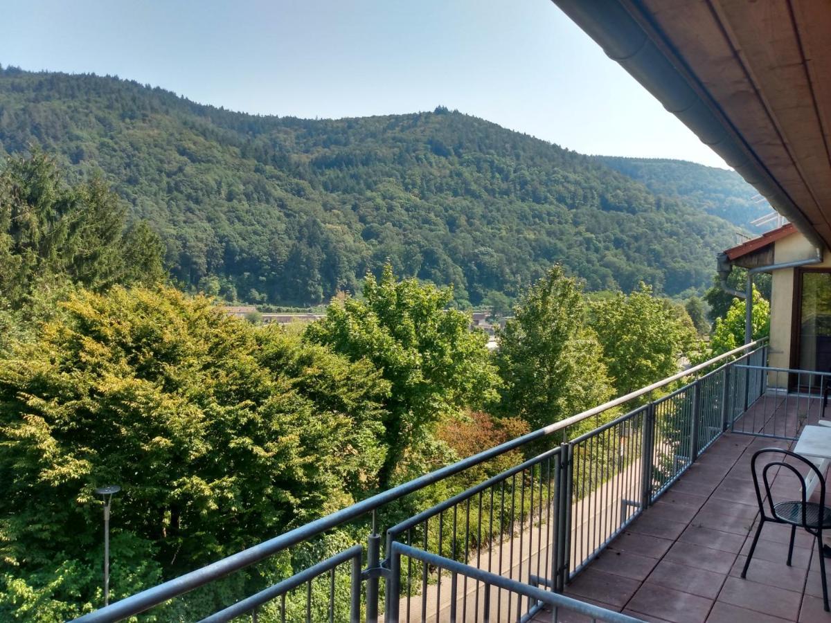 Hotel Zum Neckartal Heidelberg Kültér fotó