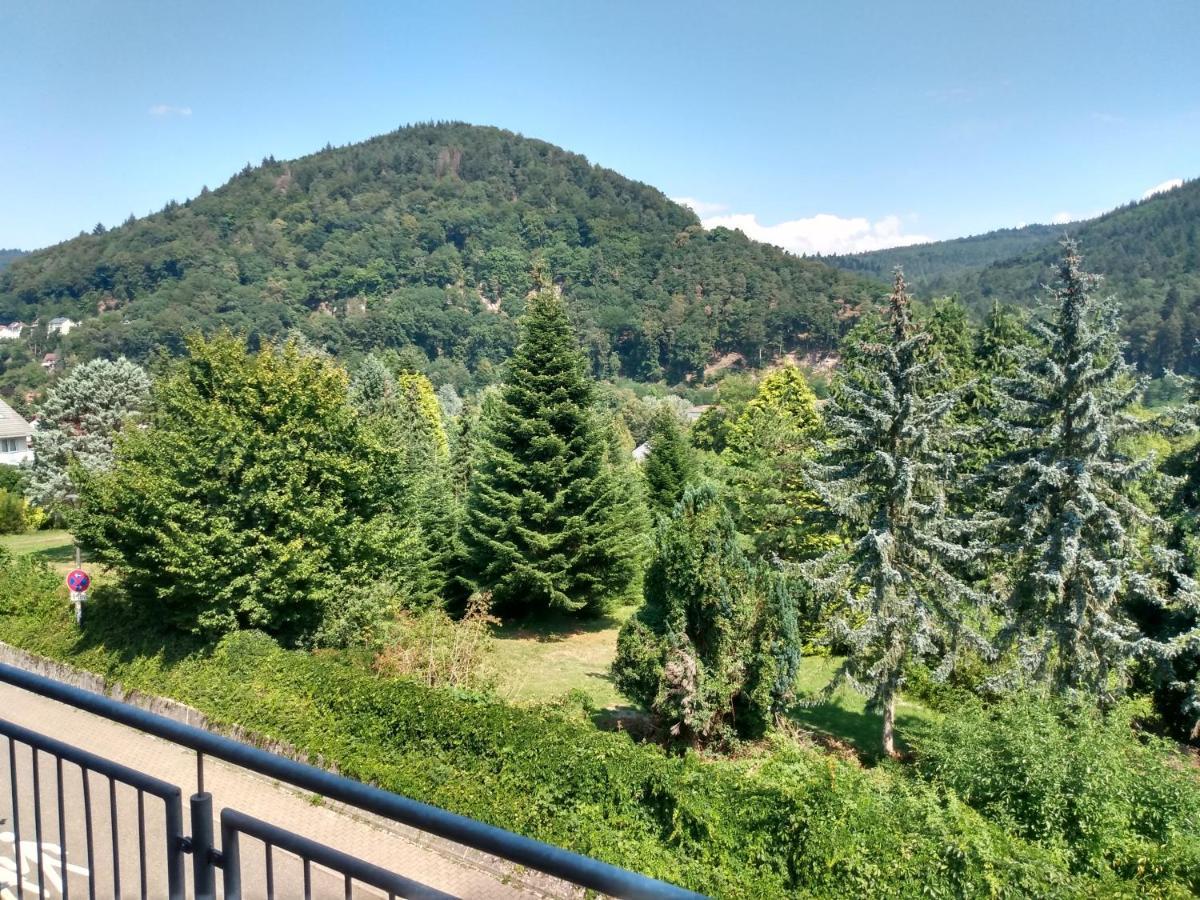 Hotel Zum Neckartal Heidelberg Kültér fotó