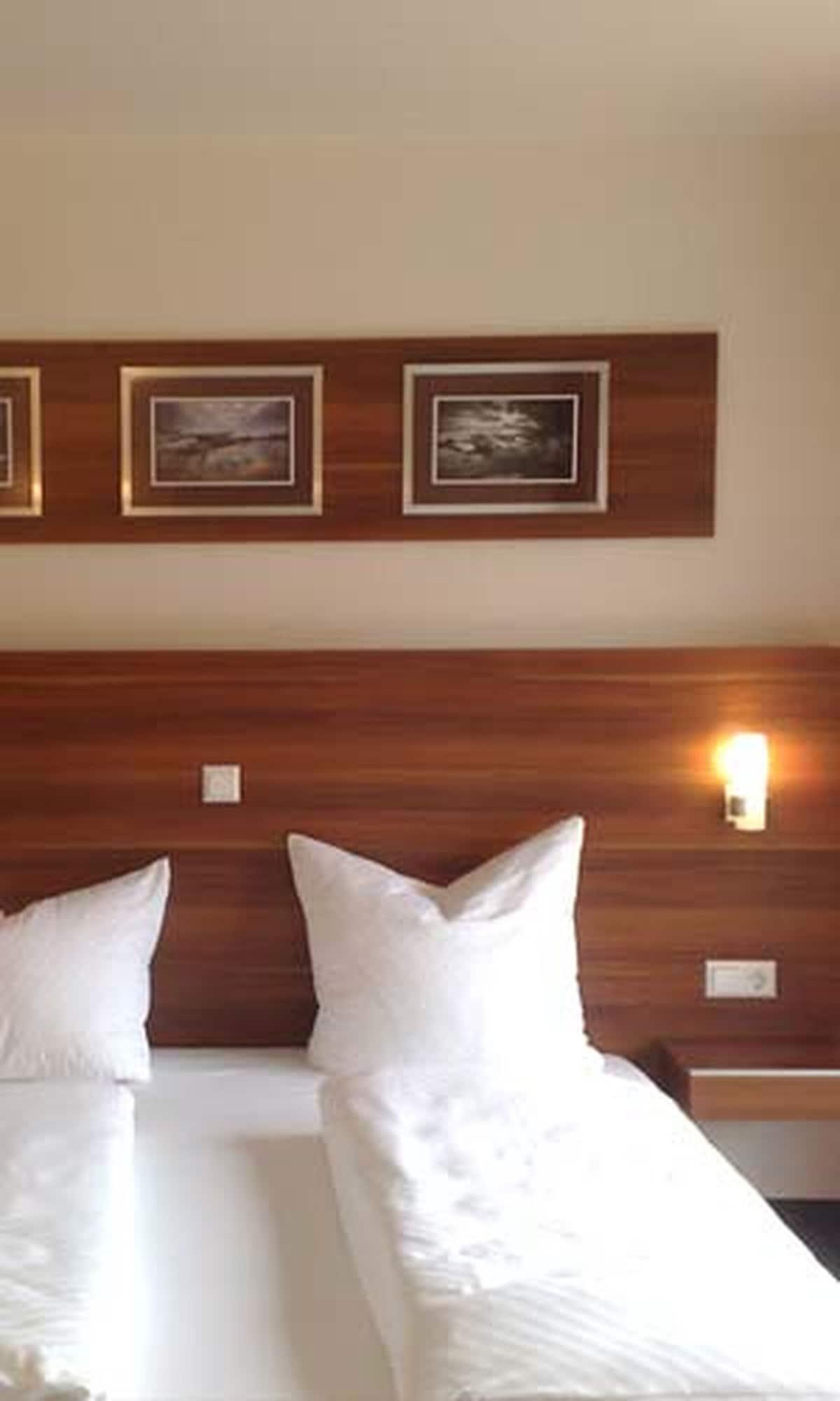 Hotel Zum Neckartal Heidelberg Kültér fotó