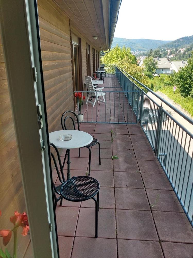 Hotel Zum Neckartal Heidelberg Kültér fotó